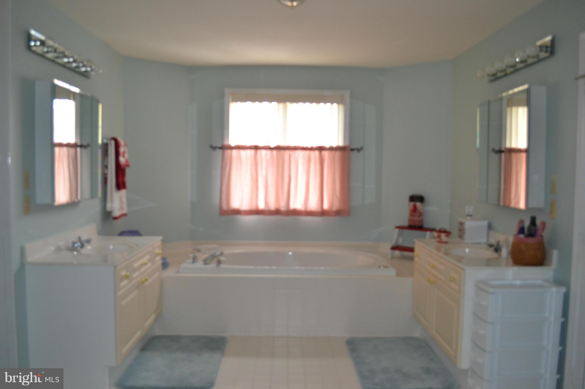 2559 Bear Den Road Frederick, MD 21701 - Photo 20 of 30 Jacuzzi tub, individual vanities, separate shower