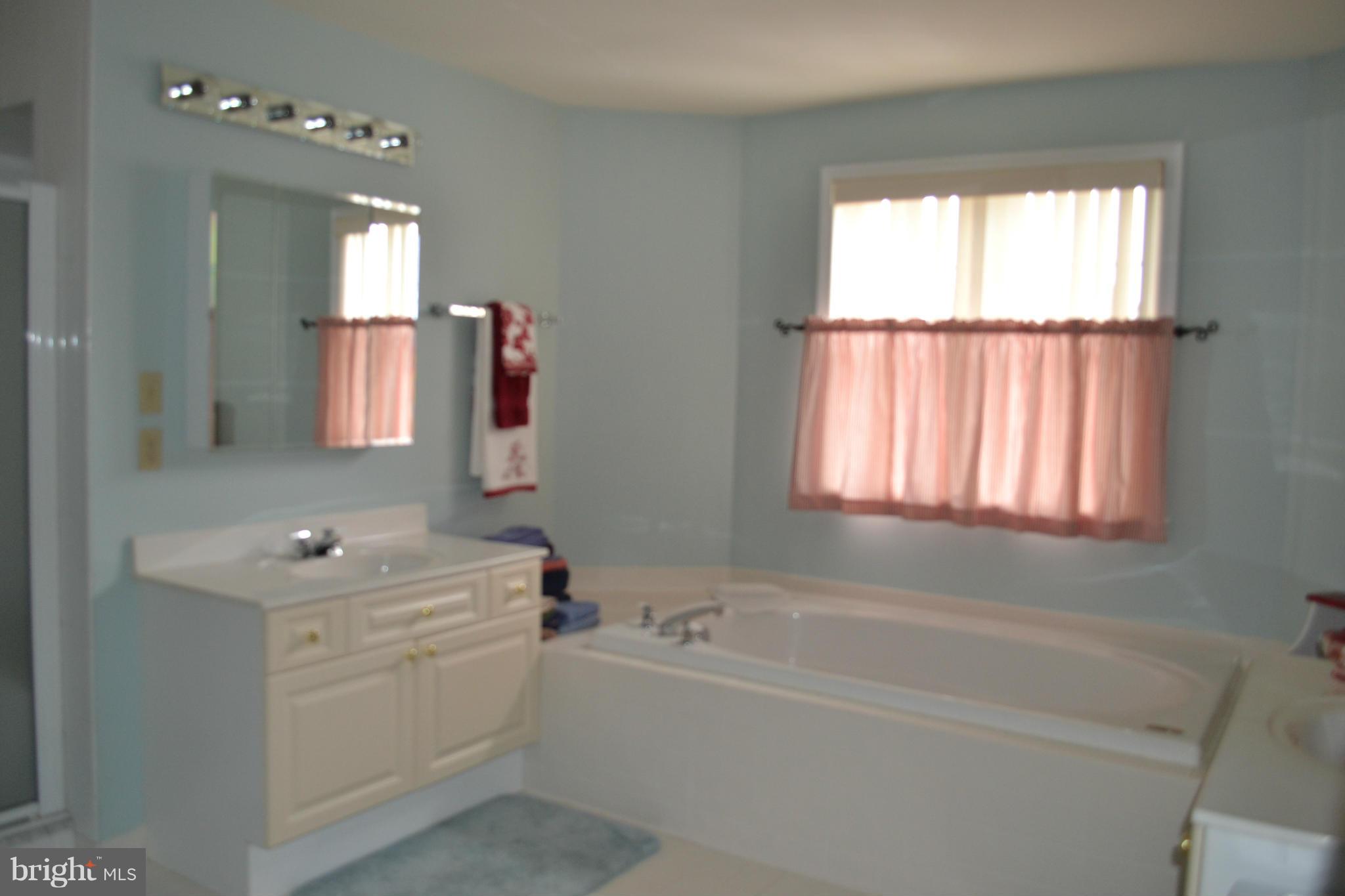 2559 Bear Den Road Frederick, MD 21701 - Photo 21 of 30 Bath (Master)