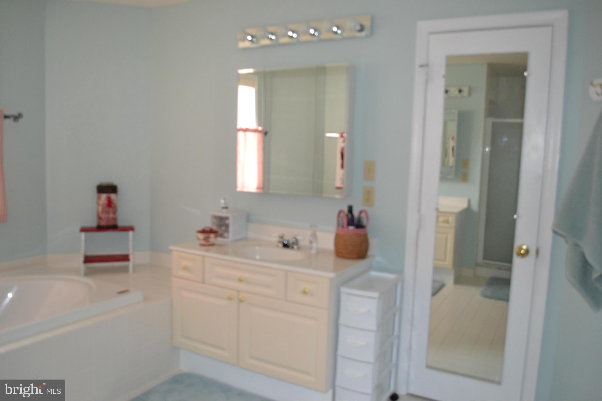 2559 Bear Den Road Frederick, MD 21701 - Photo 22 of 30 Bath (Master)
