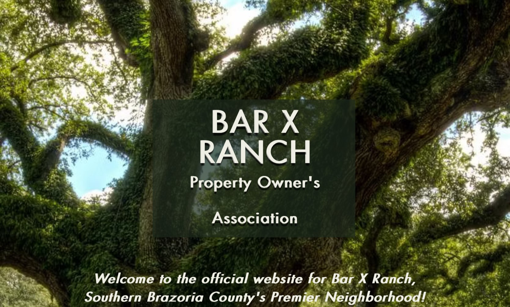 521 Barx Ranch Angleton, TX 77515 - Photo 11 of 14
