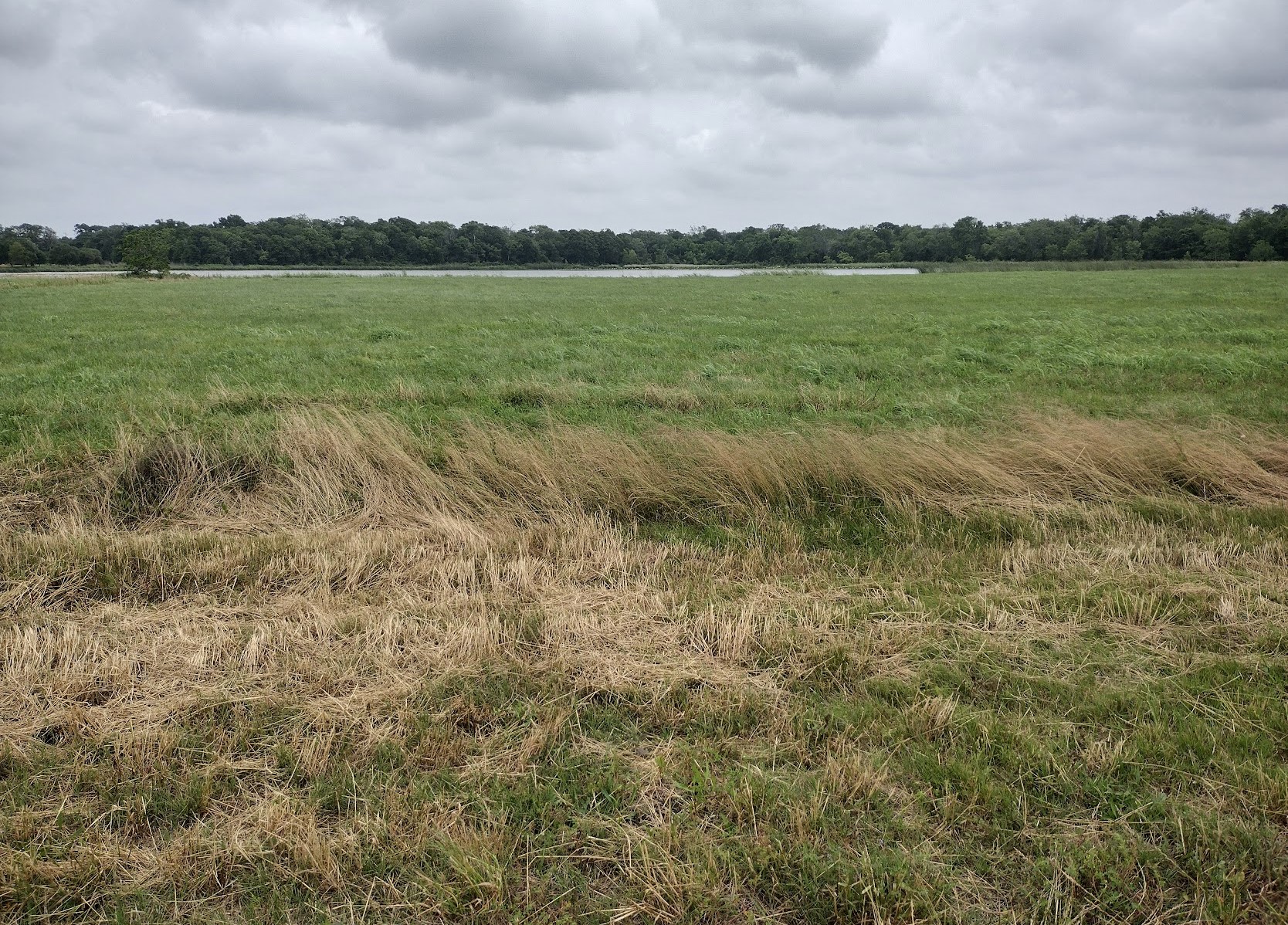 521 Barx Ranch Angleton, TX 77515 - Photo 3 of 14