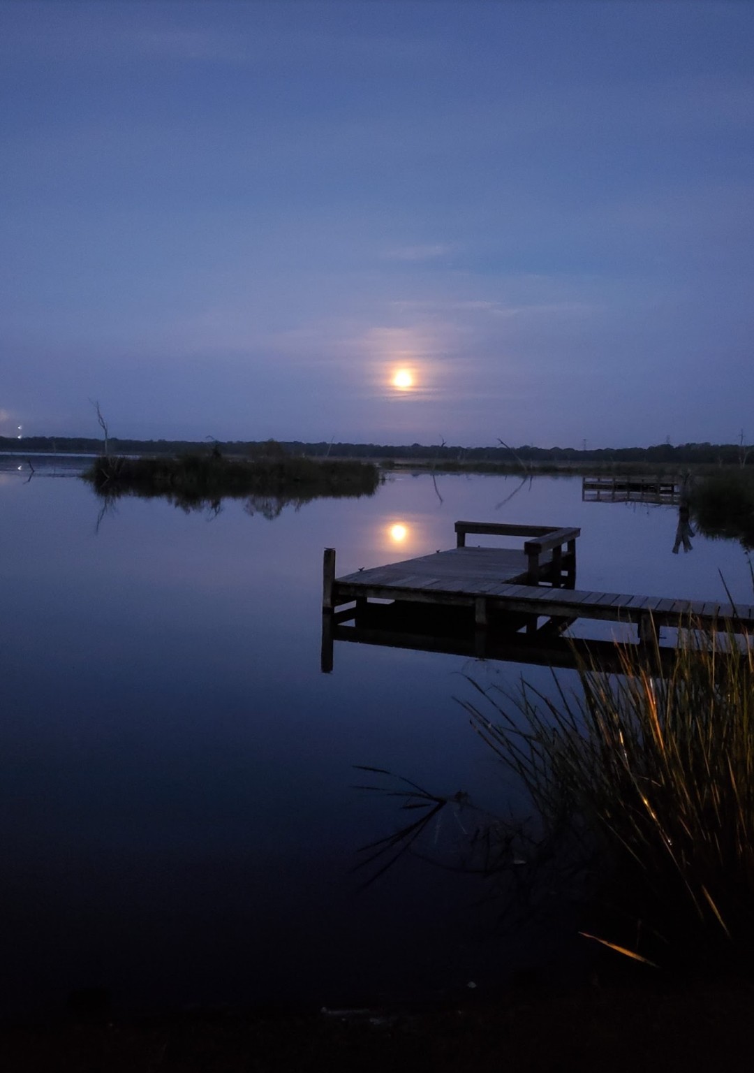 521 Barx Ranch Angleton, TX 77515 - Photo 6 of 14