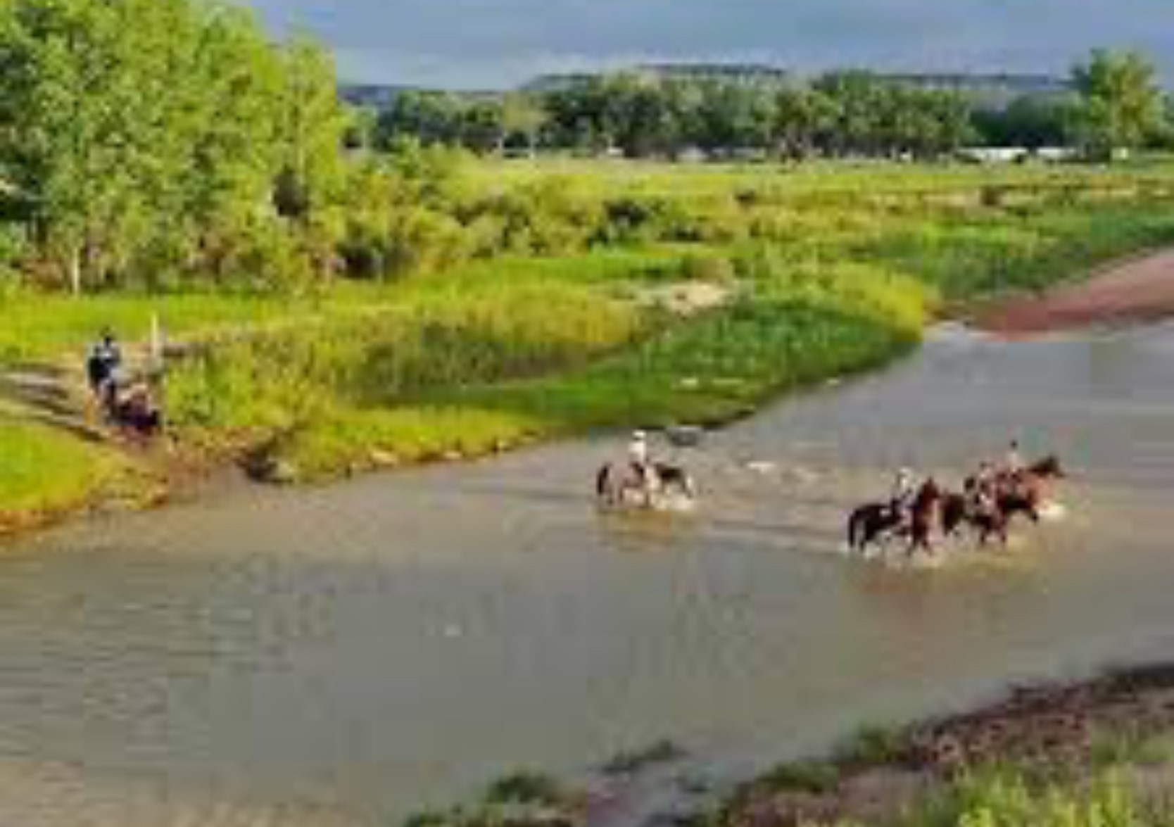 521 Barx Ranch Angleton, TX 77515 - Photo 7 of 14