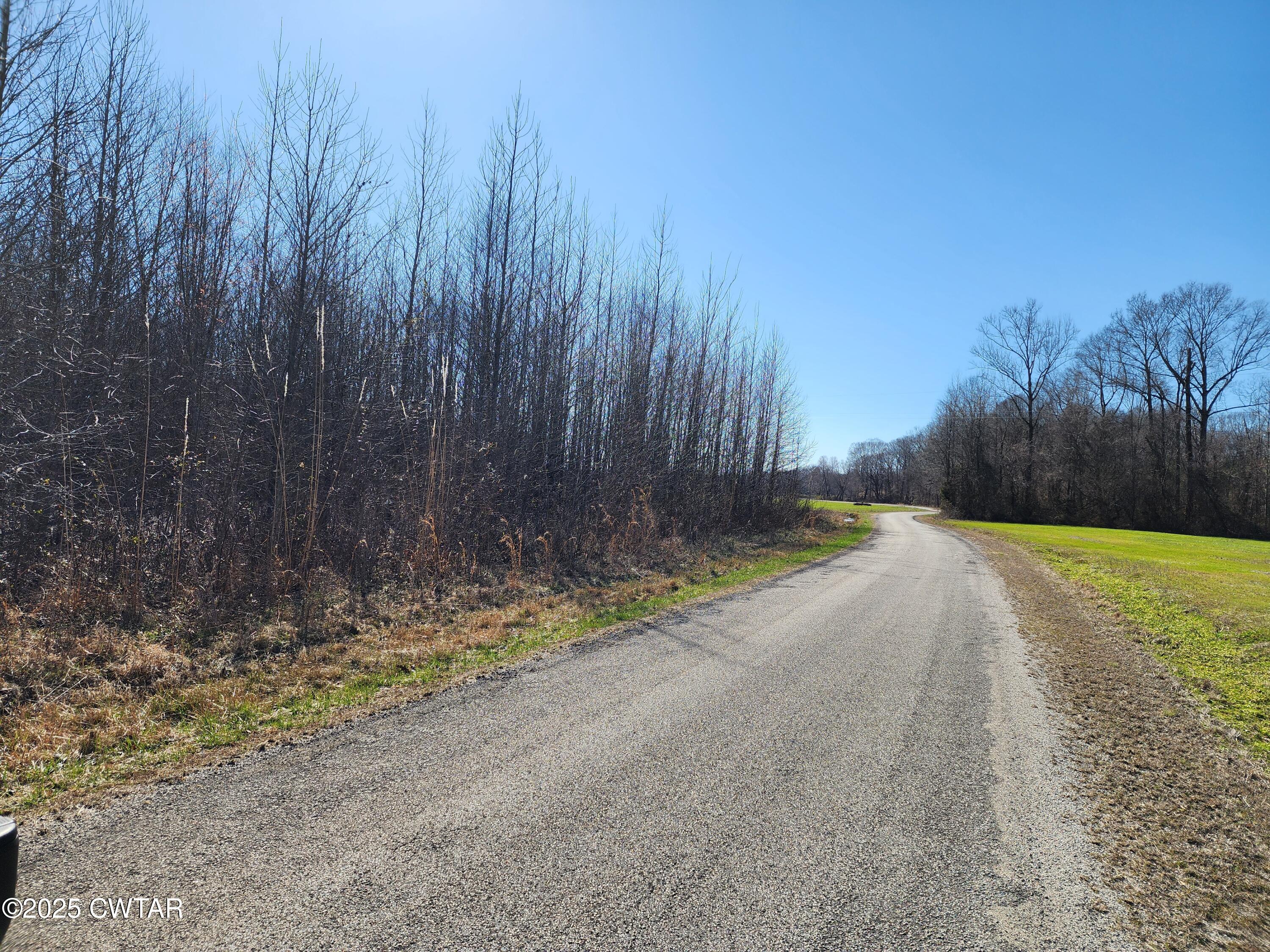 0 Daws Lane Cedar Grove, TN 38321 - Photo 6 of 7 a view of a backyard with trees