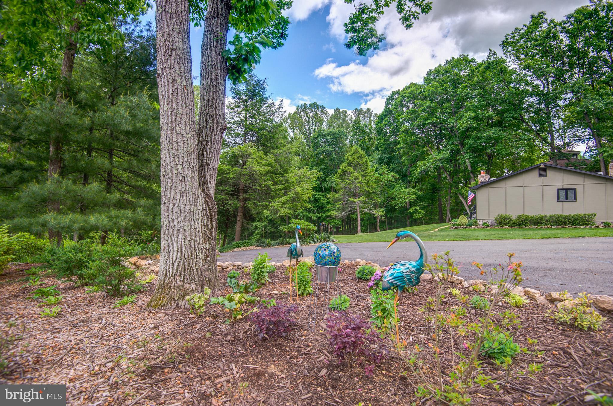 10116 Evans Ford Road Manassas, VA 20111 - Photo 56 of 63 a view of a garden with a tree