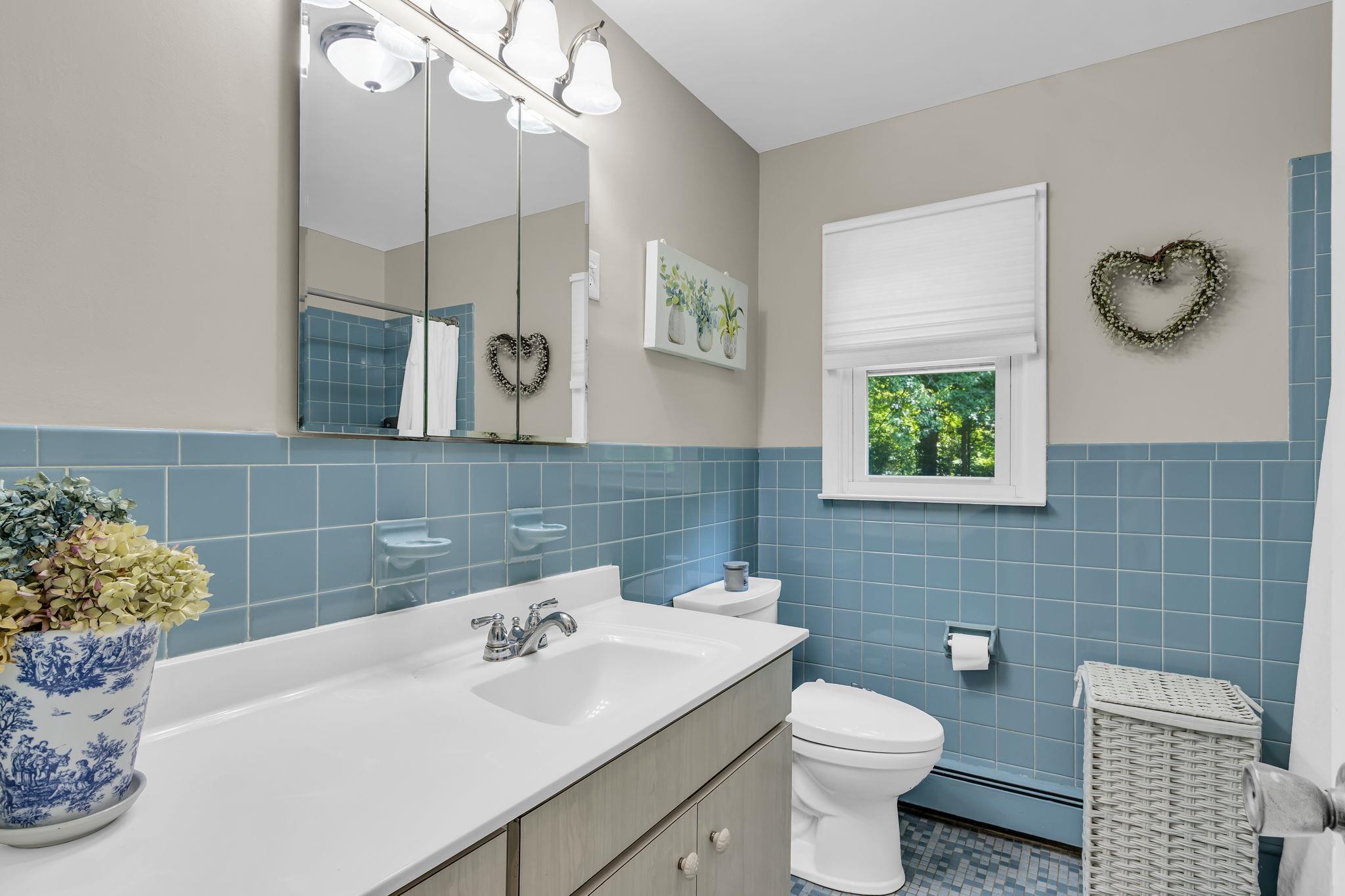 14 Griffen Road Brewster, NY 10509 - Photo 14 of 30 a bathroom with a sink a toilet and mirror