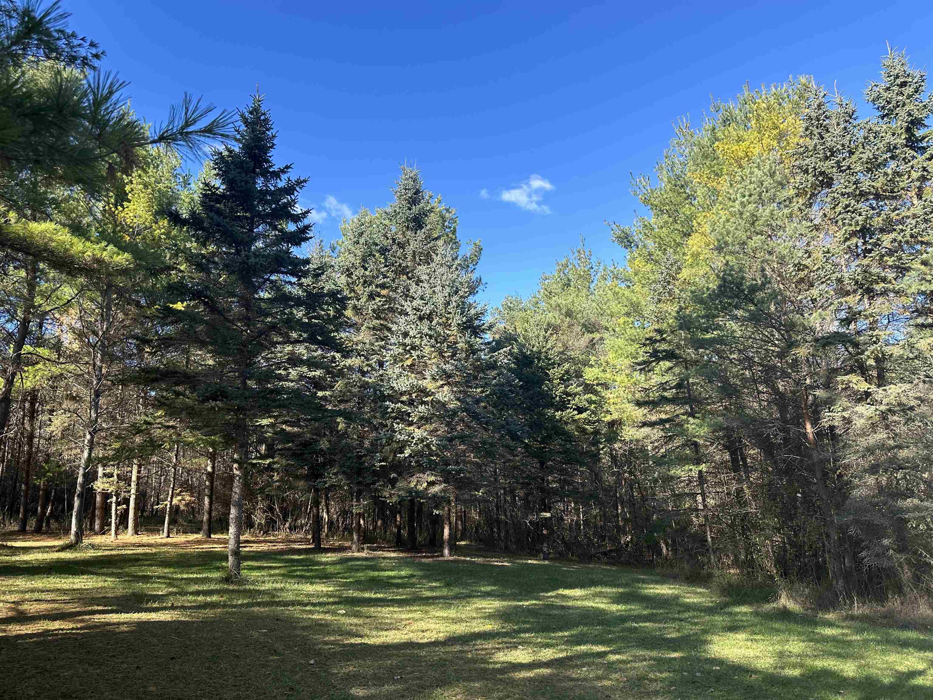 0 Drier Road Standish, MI 48658 - Photo 1 of 34