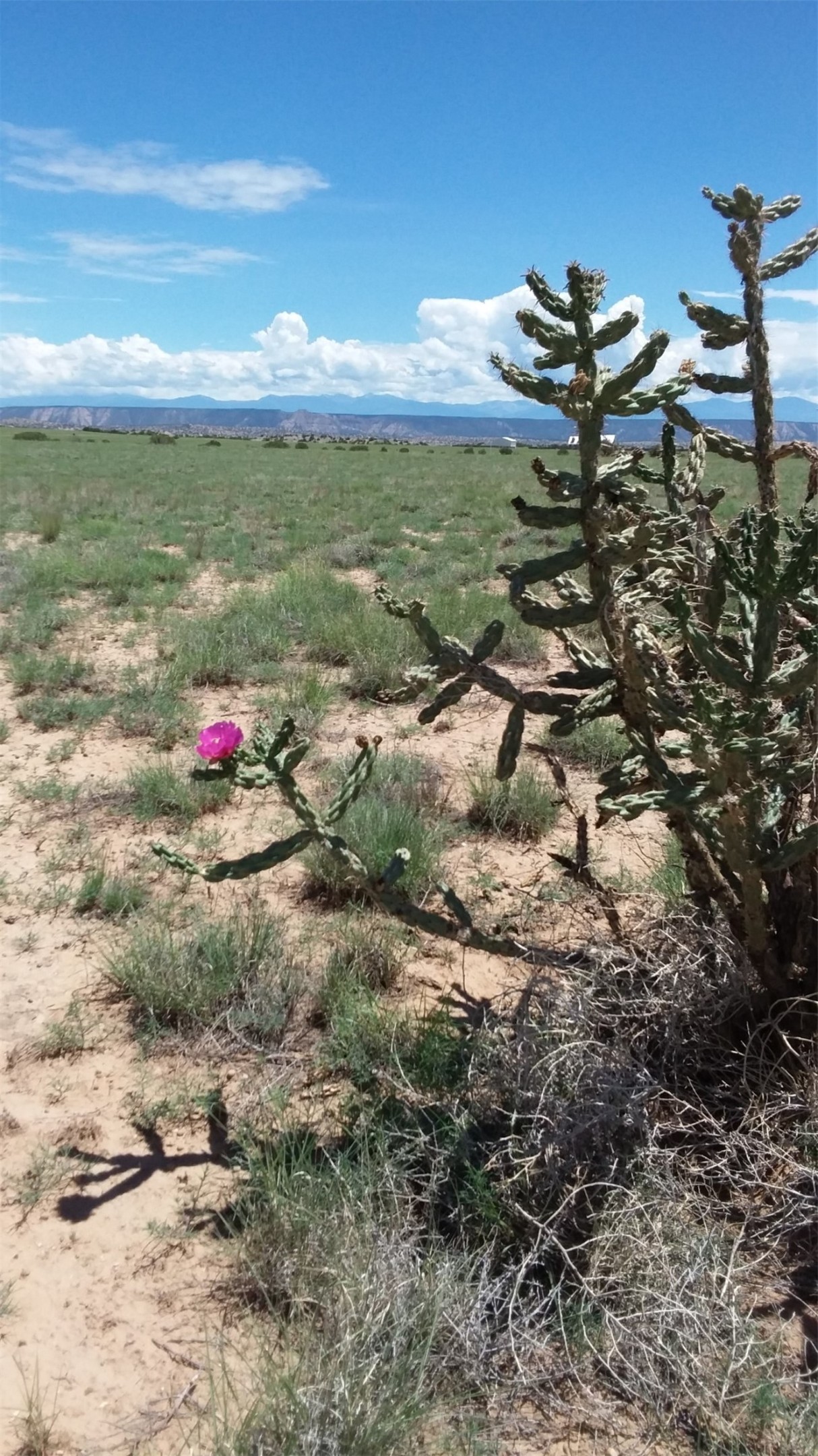 25 Hunter Drive Ojo Caliente, NM 87549 - Photo 1 of 1