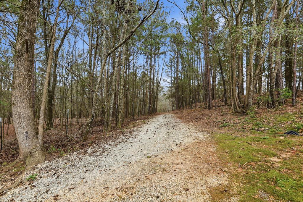 3211 Lee Road 0375 Valley, AL 36854 - Photo 14 of 24