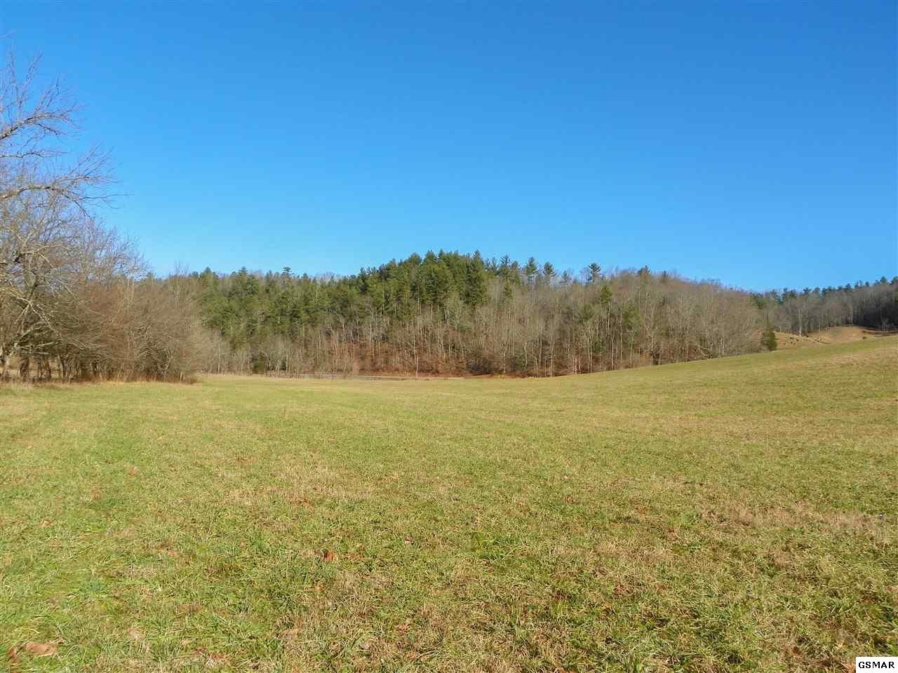 1085 Highway 107 Del Rio, TN 37727 - Photo 30 of 32