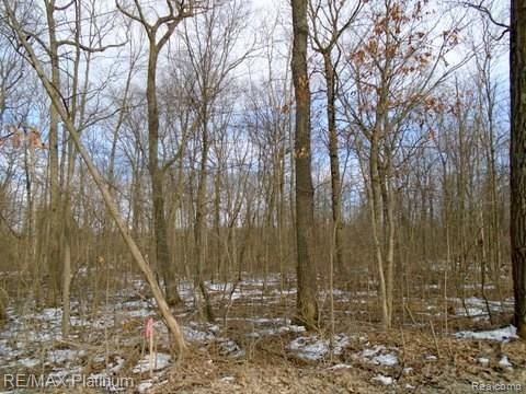 1 Hartland Road Fenton, MI 48430 - Photo 2 of 6