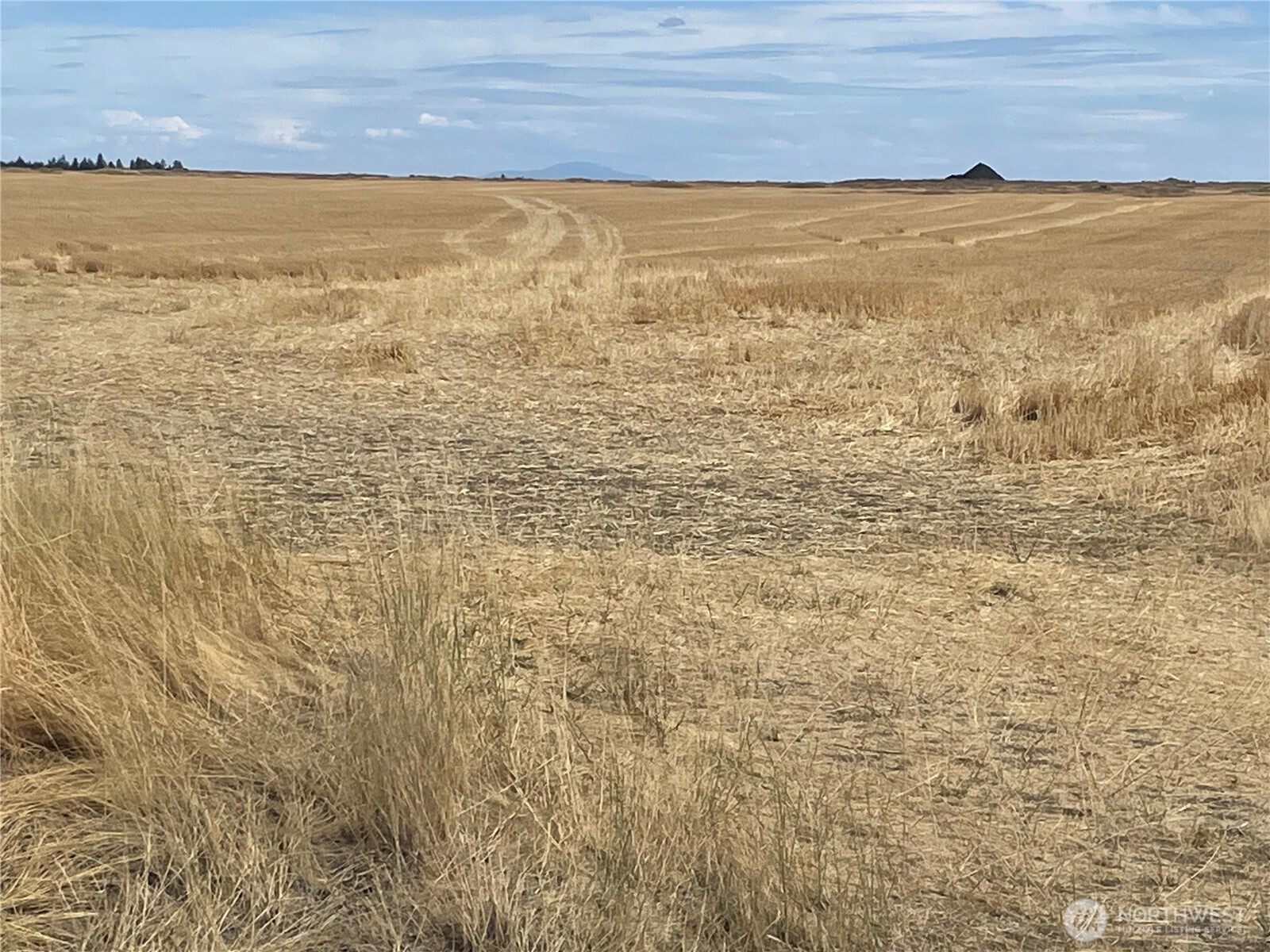35251 Crescent Road North, Unit 6 Reardan, WA 99029 - Photo 11 of 17 a view of an ocean
