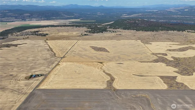 a view of a swimming pool