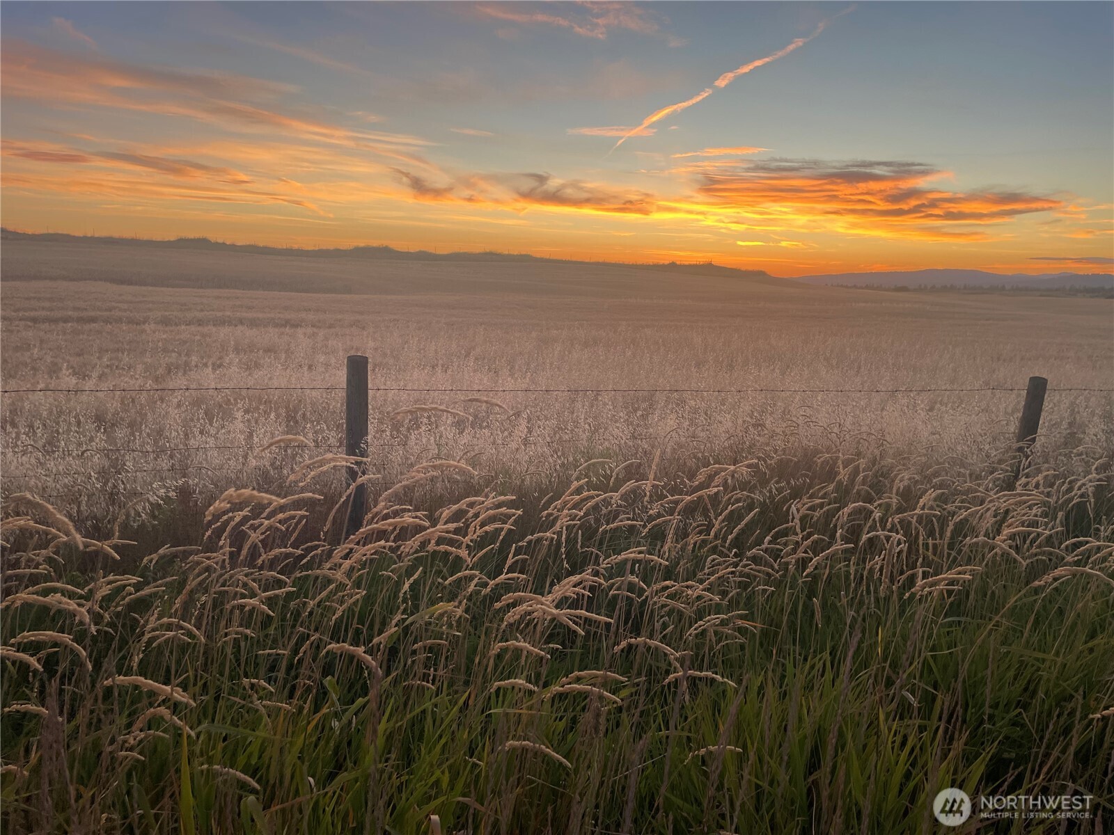 35251 Crescent Road North, Unit 6 Reardan, WA 99029 - Photo 4 of 17 a view of an ocean and beach