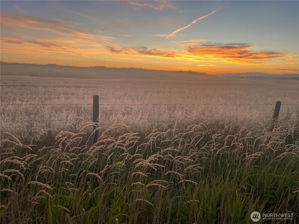 a view of an ocean and beach