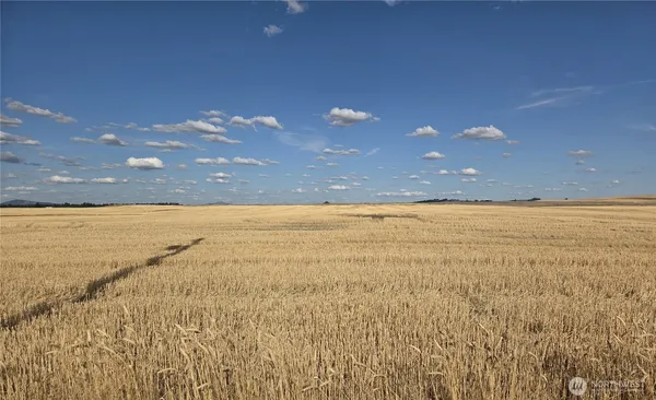 a view of an ocean and a yard