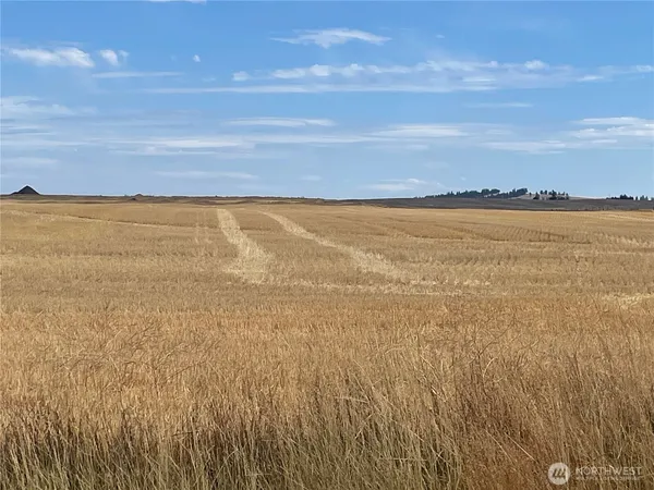 a view of an ocean and beach