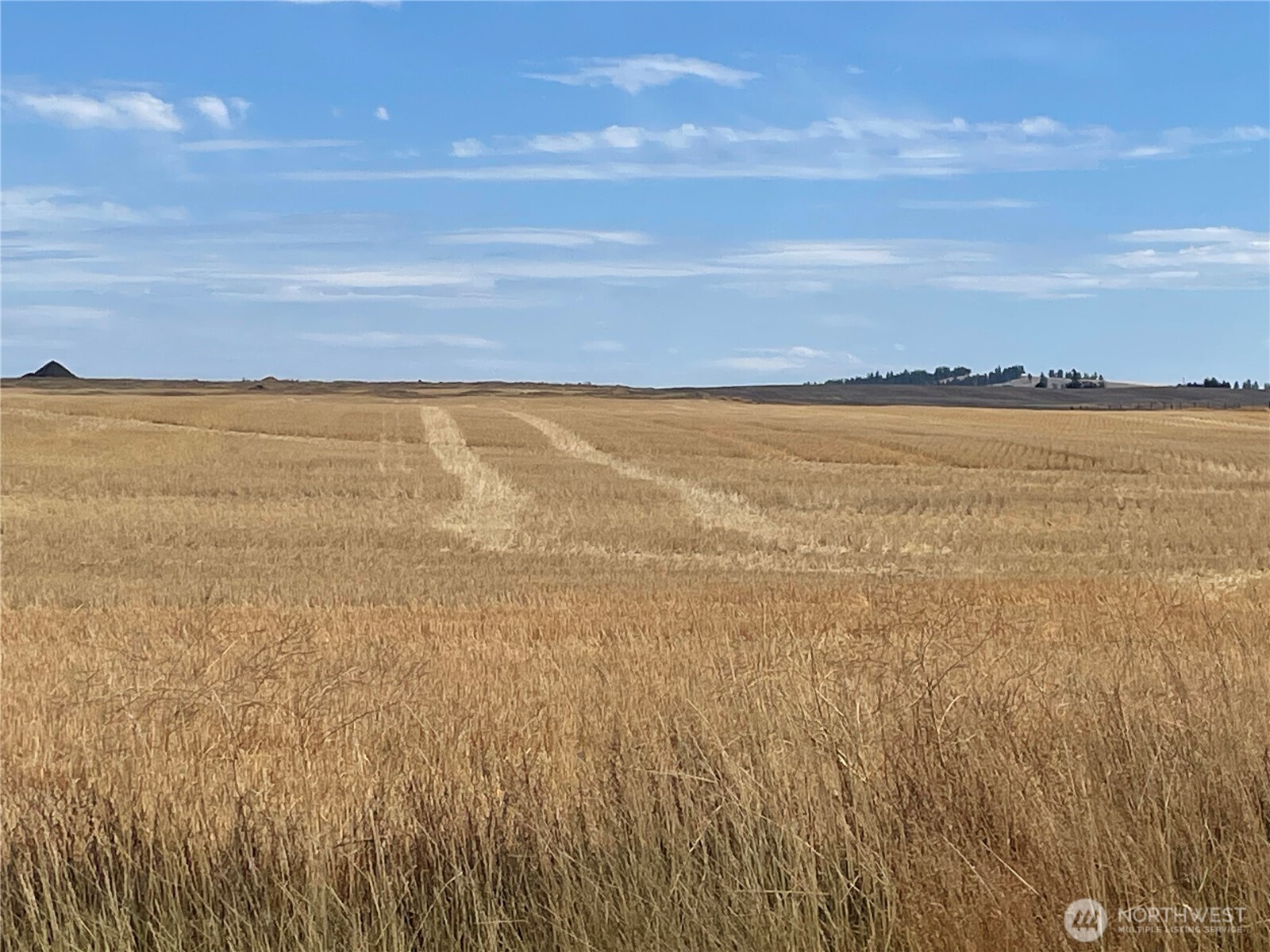 35251 Crescent Road North, Unit 6 Reardan, WA 99029 - Photo 9 of 17 a view of an ocean and beach