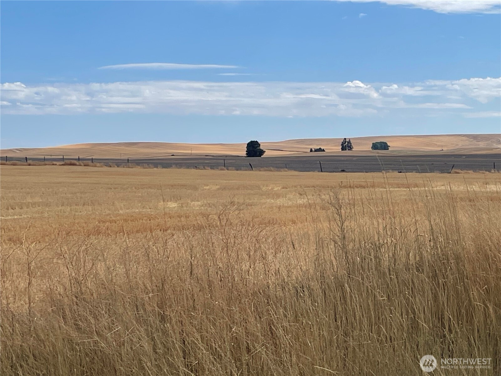 35251 Crescent Road North, Unit 6 Reardan, WA 99029 - Photo 10 of 17 a view of an ocean