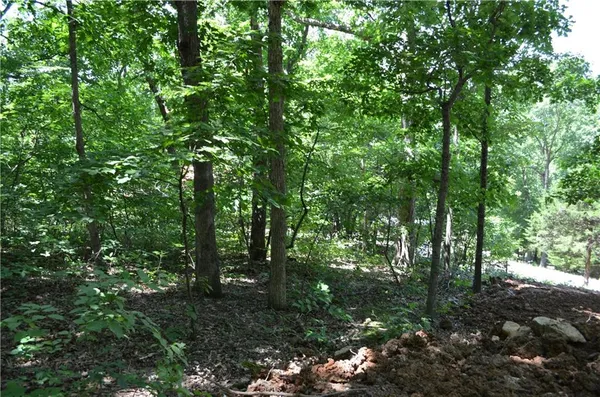 $19,900 | 27261 Marina Lane, Barnett, MO 65011