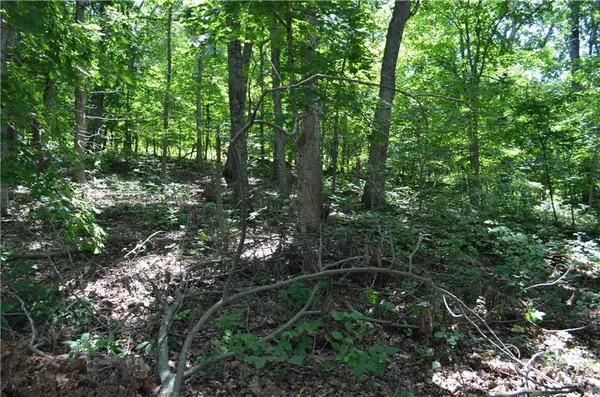 $19,900 | 27261 Marina Lane, Barnett, MO 65011