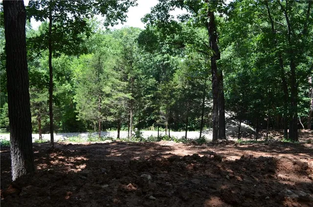 $24,900 | 27261 Marina Lane, Barnett, MO 65011