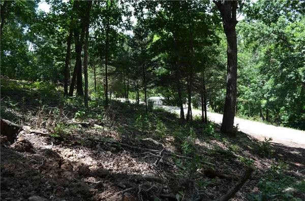 $19,900 | 27261 Marina Lane, Barnett, MO 65011