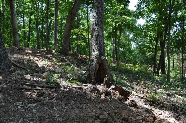 $19,900 | 27261 Marina Lane, Barnett, MO 65011