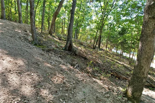 $19,900 | 27261 Marina Lane, Barnett, MO 65011