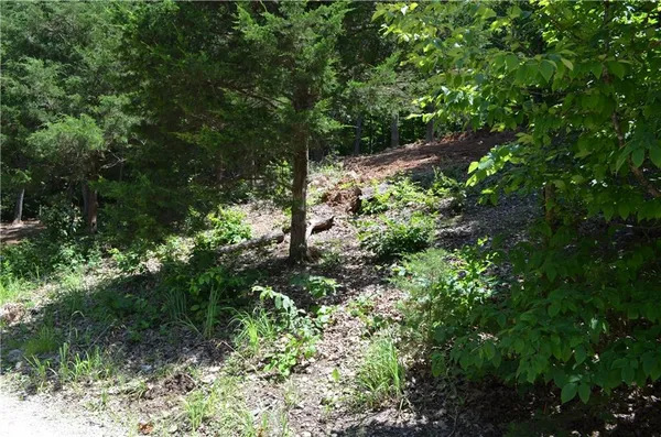 $19,900 | 27261 Marina Lane, Barnett, MO 65011