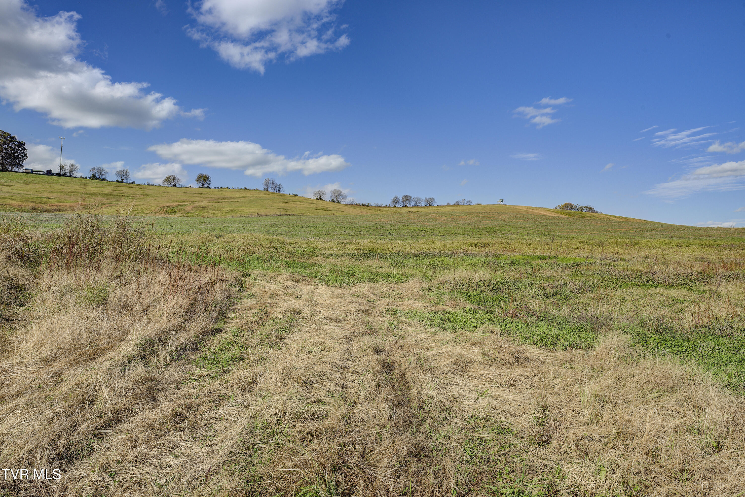 224 Oklahoma Road Jonesborough, TN 37659 - Photo 42 of 103 Oklahoma-63
