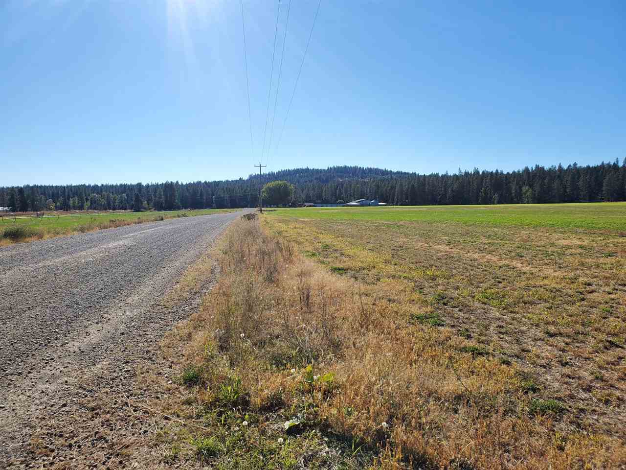 24600 North Crescent Road Chattaroy, WA 99003 - Photo 3 of 9