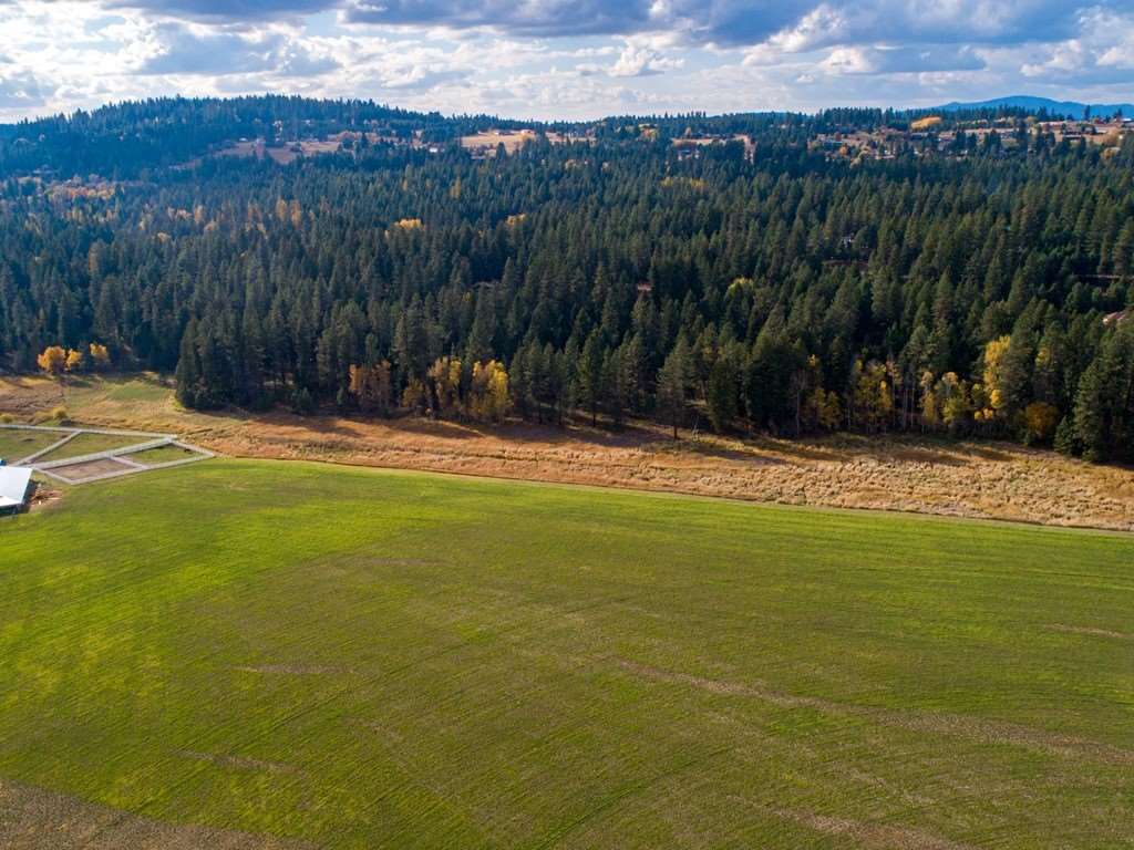 24600 North Crescent Road Chattaroy, WA 99003 - Photo 5 of 9