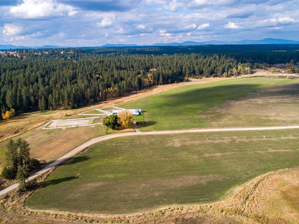 24600 North Crescent Road Chattaroy, WA 99003 - Photo 7 of 9