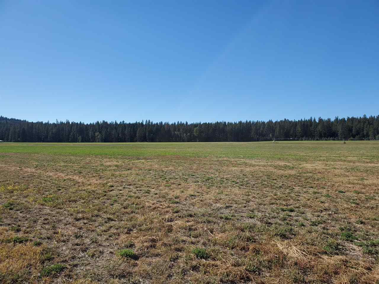 24600 North Crescent Road Chattaroy, WA 99003 - Photo 8 of 9