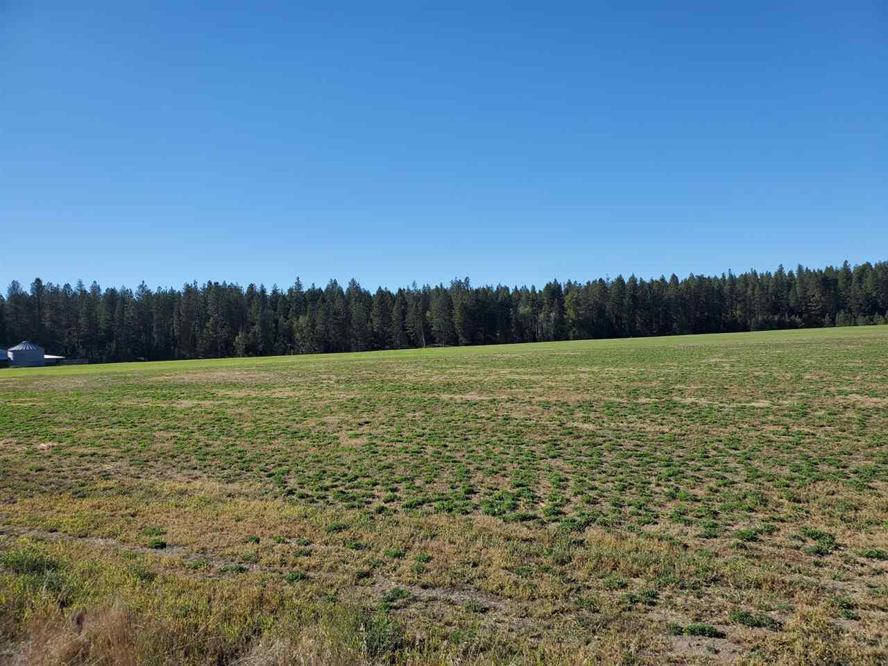 24600 North Crescent Road Chattaroy, WA 99003 - Photo 9 of 9