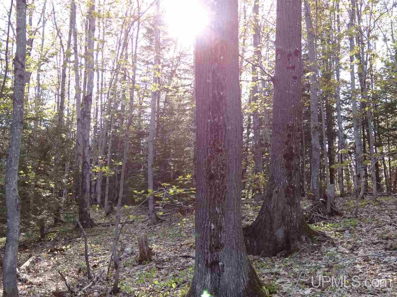 Tbd Rauhala Road, Unit PARCEL 3 Atlantic Mine, MI 49931 - Photo 13 of 19