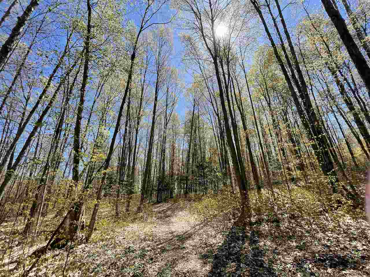 10-acres Inman Road Southwest Fife Lake, MI 49633 - Photo 22 of 32 Gallery Image 22
