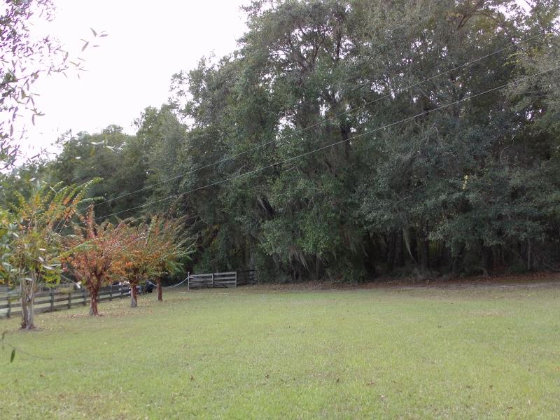 2999 Northeast Bellville Road Pinetta, FL 32350 - Photo 13 of 25 Gallery Image 13