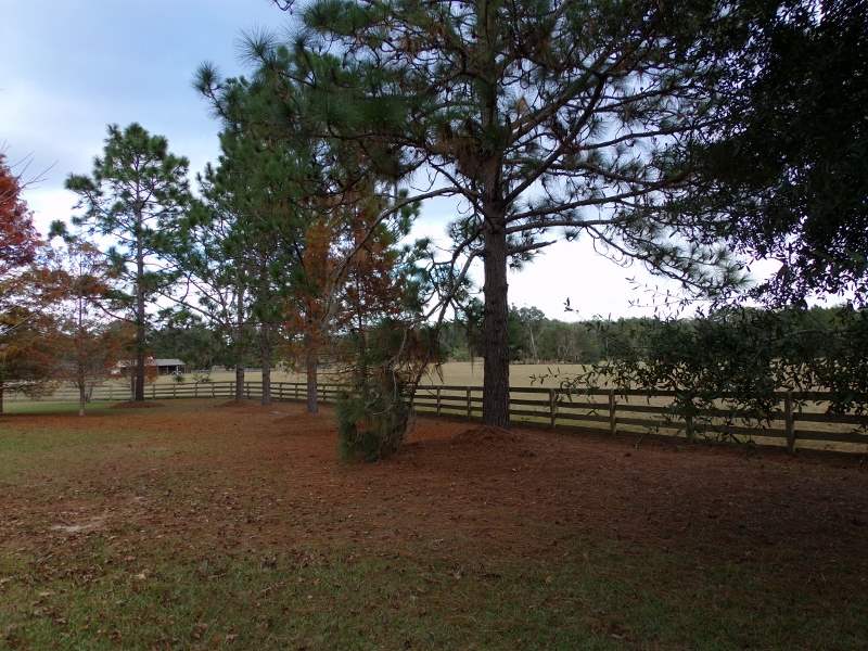 2999 Northeast Bellville Road Pinetta, FL 32350 - Photo 16 of 25 Gallery Image 16