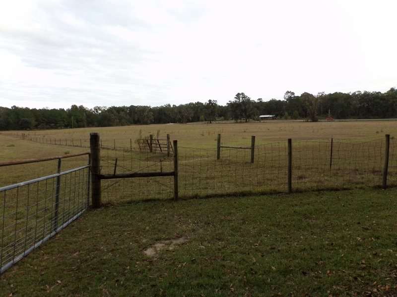 2999 Northeast Bellville Road Pinetta, FL 32350 - Photo 18 of 25 Gallery Image 18