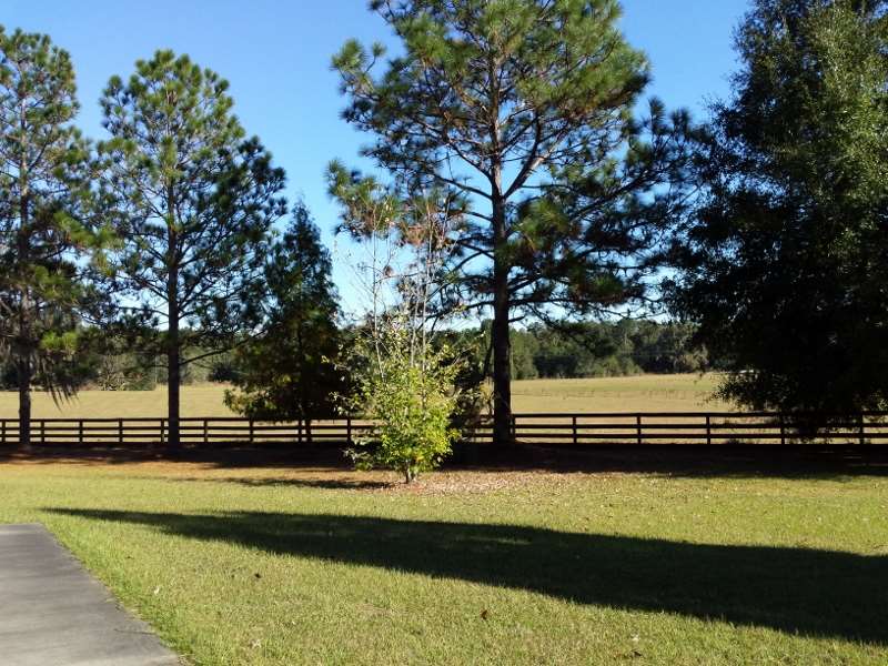 2999 Northeast Bellville Road Pinetta, FL 32350 - Photo 23 of 25 Gallery Image 23