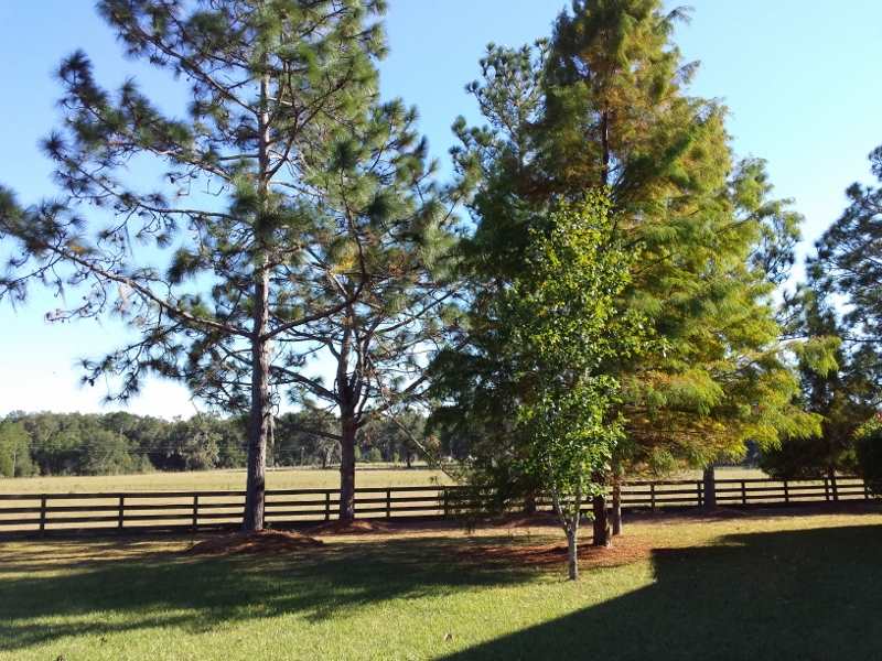 2999 Northeast Bellville Road Pinetta, FL 32350 - Photo 3 of 25 Gallery Image 3