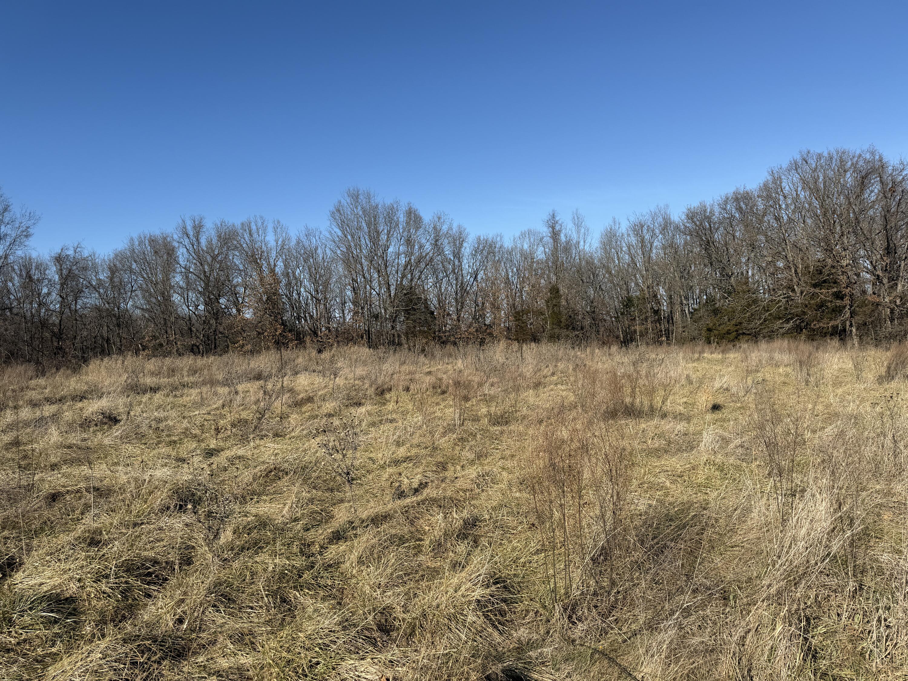 0 South 139th Road Bolivar, MO 65613 - Photo 1 of 1 IMG_1044