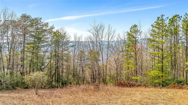 $329,900 | Tbd White Oak Road, Purlear, NC 28665