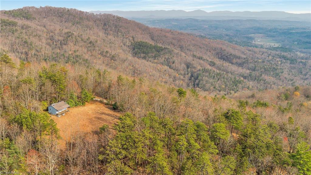 Tbd White Oak Road Purlear, NC 28665 - Photo 21 of 28