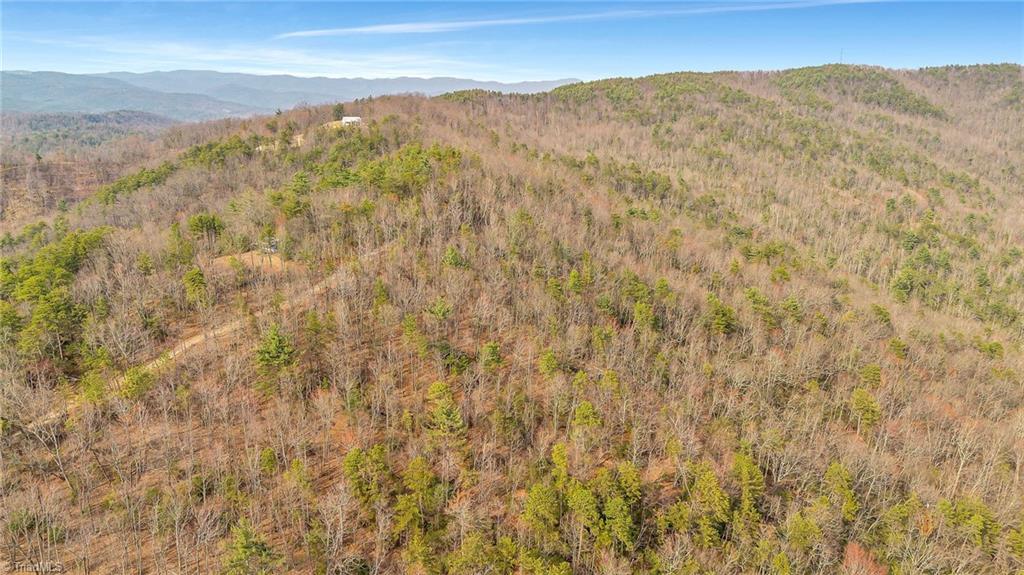 Tbd White Oak Road Purlear, NC 28665 - Photo 25 of 28