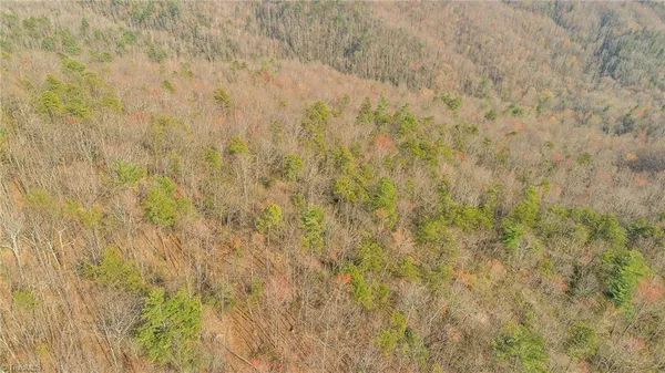 $329,900 | Tbd White Oak Road, Purlear, NC 28665