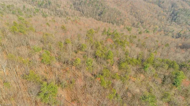 $329,900 | Tbd White Oak Road, Purlear, NC 28665