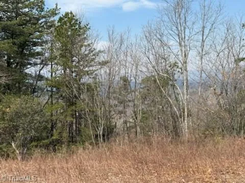 $329,900 | Tbd White Oak Road, Purlear, NC 28665